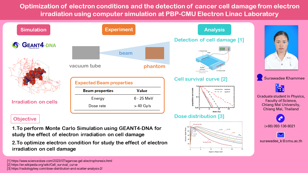 Read more about the article Optimization of electron conditions and the detection of cancer cell damage from electron irradiation using computer simulation at PBP-CMU Electron Linac Laboratory